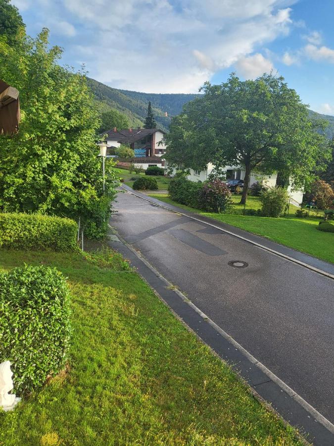 Ferienwohnung Freudenberg Freudenberg am Main 外观 照片