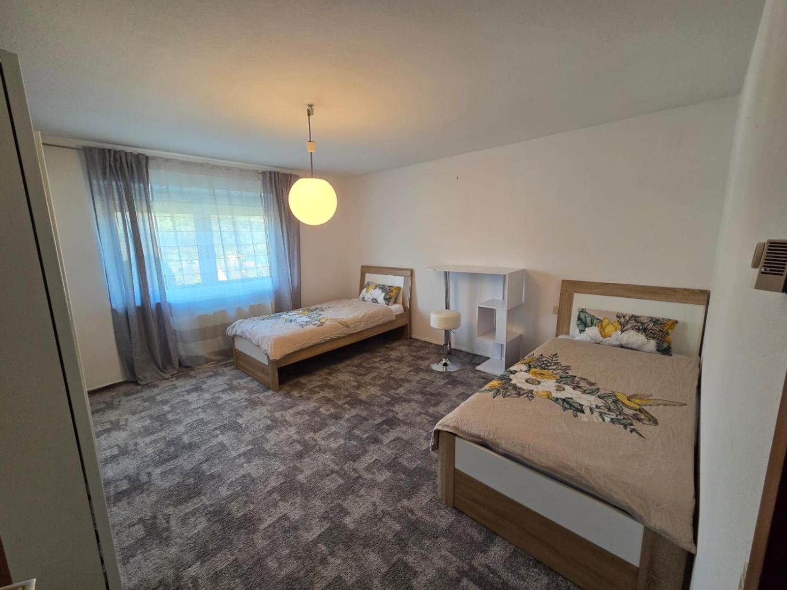 Ferienwohnung Freudenberg Freudenberg am Main 外观 照片