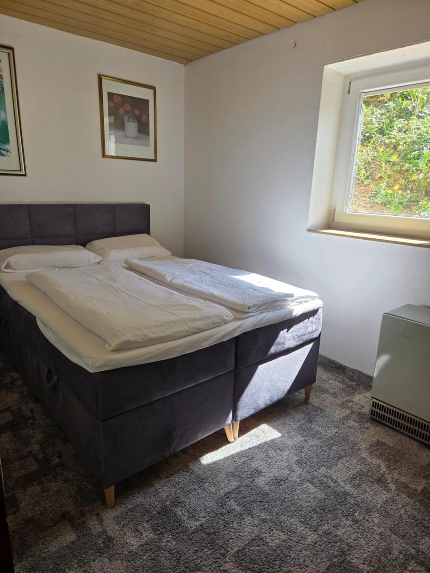 Ferienwohnung Freudenberg Freudenberg am Main 外观 照片